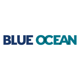 Blue Ocean Baltimore MD website design and SEO