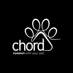Chord Connect Baltimore MD website design and SEO