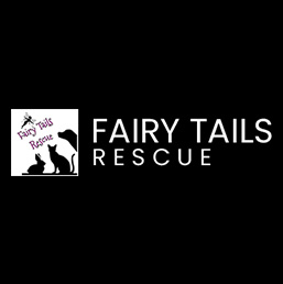 Fairy Tail Rescue Baltimore MD website design and SEO